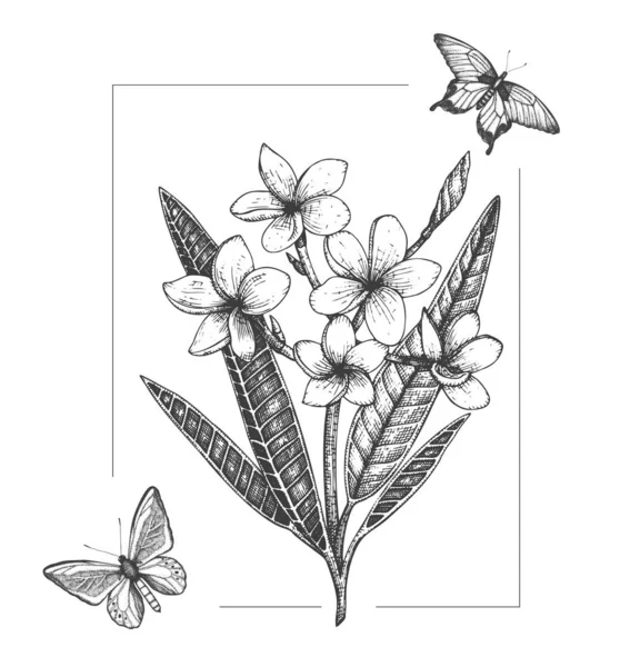 Ilustração vetorial de flor tropical com borboletas — Vetor de Stock