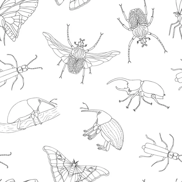 Modèle sans couture vectoriel d'insectes tropicaux. Répétez le contexte — Image vectorielle