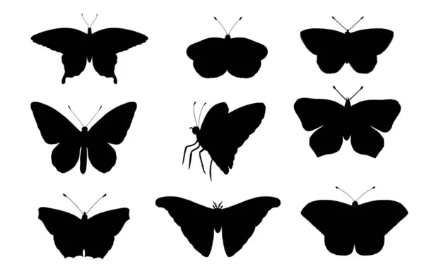 Vector set of butterflies. Hand drawn black silhouettes of atlas moth — Stock Vector