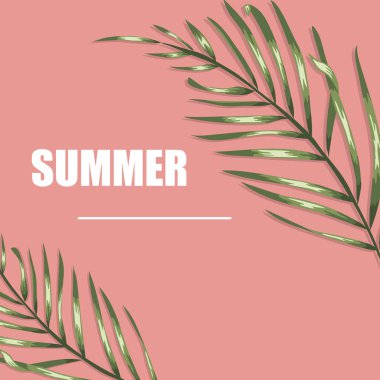 Pembe arka planda yeşil palmiye yaprakları ile Vektör tropikal poster