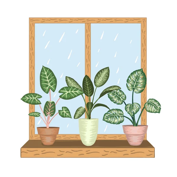 Окно с тропическими комнатными растениями в горшках. Вид на дождевую погоду — стоковый вектор