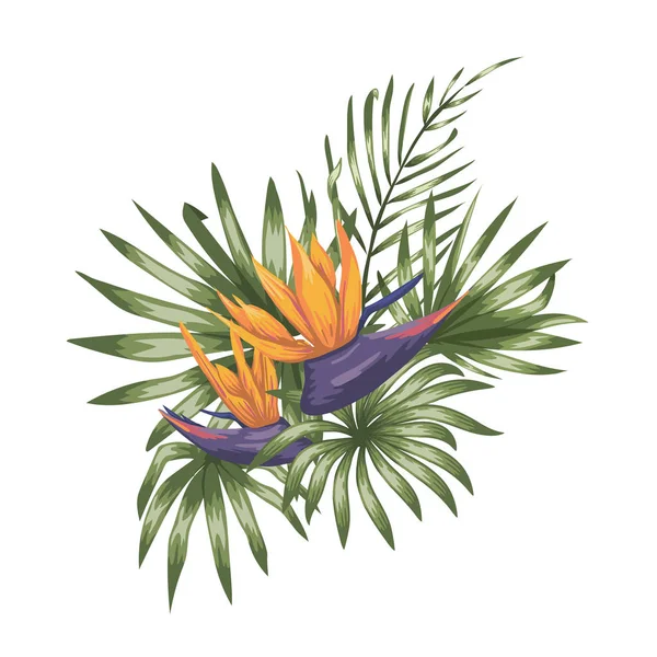 Composição tropical vetorial de flores de strelitzia, monstera —  Vetores de Stock