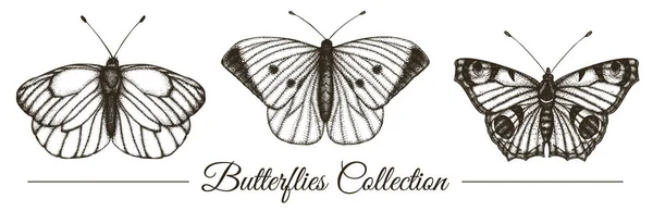Векторный набор черно-белых бабочек — стоковый вектор