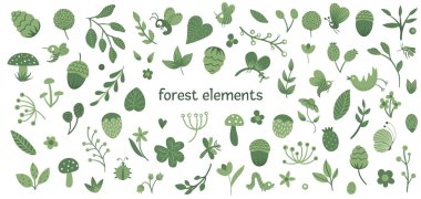 Sevimli düz ormanlık böcek ve bitkilerin Vektör seti. Orman elem