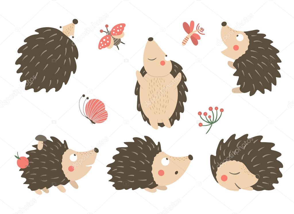 Vector set of cartoon style flat funny hedgehogs in different po