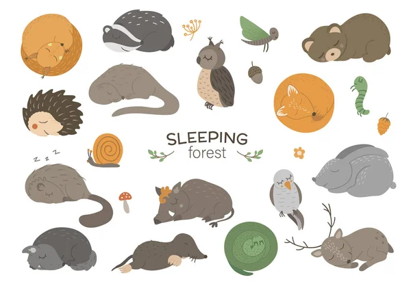 Conjunto de vector dibujado a mano plana durmiendo animales del bosque . — Vector de stock