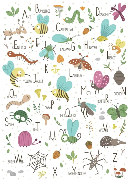 Alfabeto del bosque para niños. Lindo piso ABC con insecto del bosque — Vector de stock