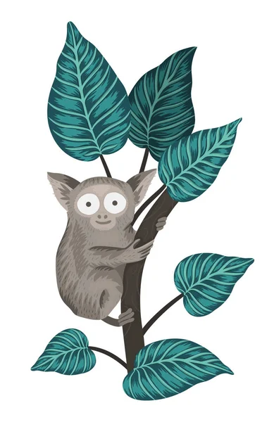 Vektorový tarsier na stromě s listy izolovanými na bílém pozadí — Stockový vektor