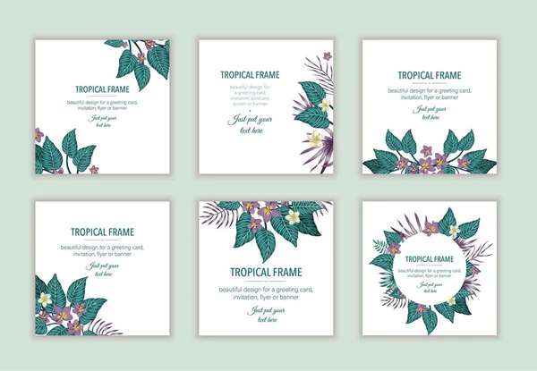 Set vierkante tropische frame sjablonen met bladeren en bloemen. — Stockvector