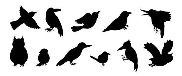 Vektor uppsättning av tecknad stil handritade platta roliga fåglar — Stock vektor