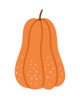 Şirin bir balkabağı. Sonbahar sebzesi. Düz turuncu kabak.