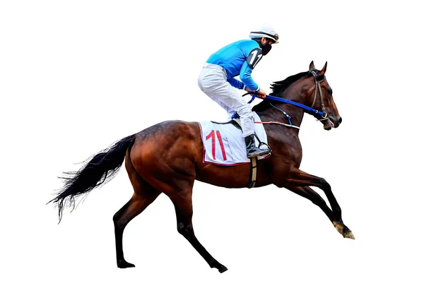 Jockey Horse Racing Horse Geïsoleerd Witte Achtergrond — Stockfoto