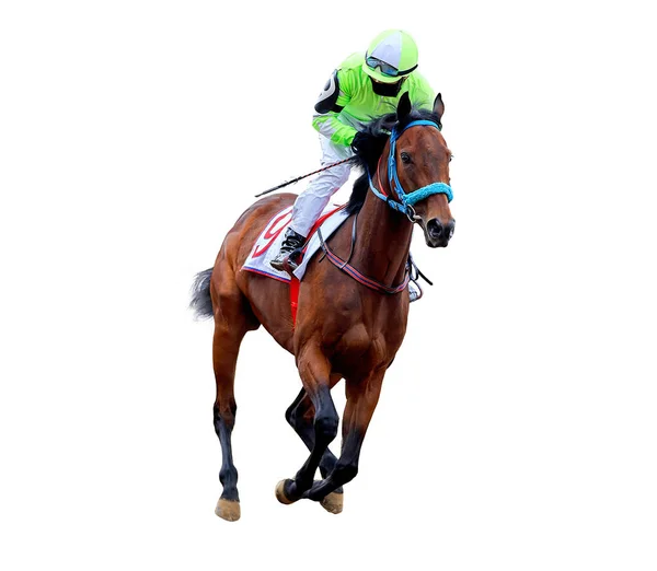 Jockey Cavalo Corrida Cavalo Isolado Fundo Branco — Fotografia de Stock