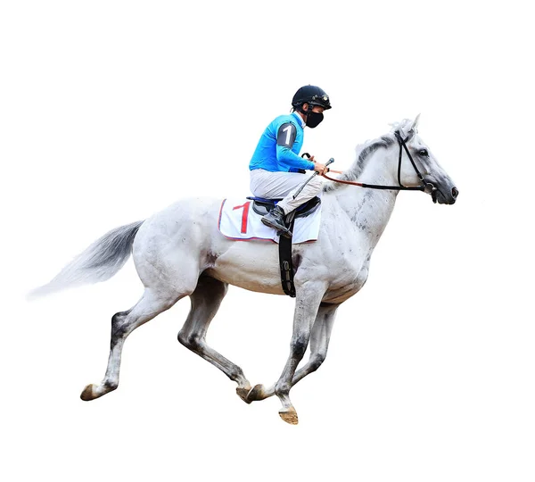 Žokej Koňský Dostihový Kůň Izolovaný Bílém Pozadí — Stock fotografie