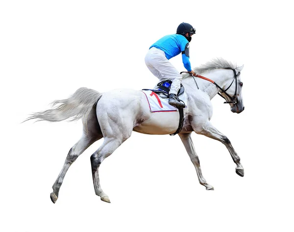 白い背景に隔離された騎手競馬馬 — ストック写真