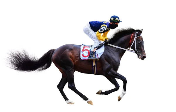 Jockey Hästkapplöpning Häst Isolerade Vit Bakgrund — Stockfoto