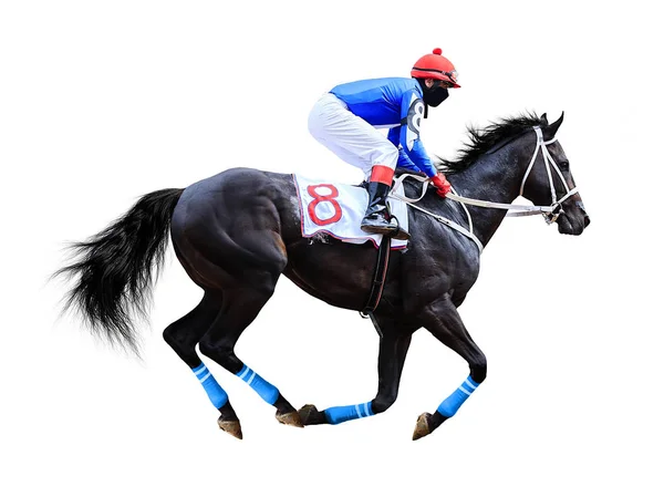 Jockey Hästkapplöpning Häst Isolerade Vit Bakgrund — Stockfoto