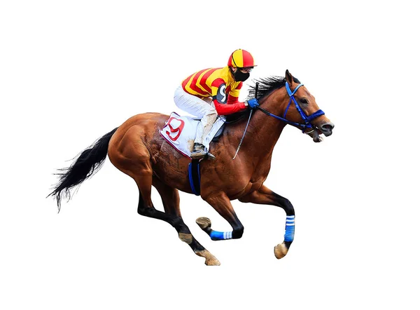Jockey Koń Wyścigi Konne Białym Tle — Zdjęcie stockowe