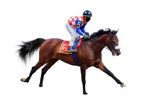 Jockey Horse Racing Horse Geïsoleerd Witte Achtergrond — Stockfoto