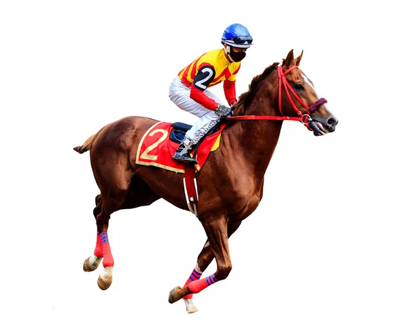 Jockey Pferd Rennpferd Isoliert Auf Weißem Hintergrund — Stockfoto