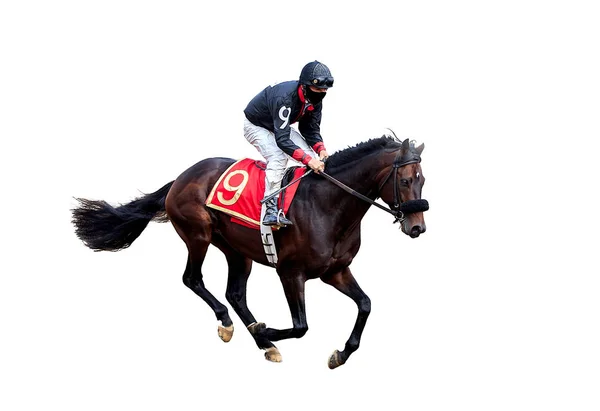 Jockey Cavalo Corrida Cavalo Isolado Fundo Branco — Fotografia de Stock