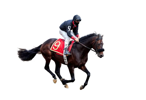 Jockey Caballo Carreras Aislado Sobre Fondo Blanco — Foto de Stock