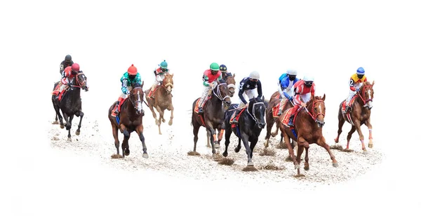 jockey horse racing horse isolated on white background