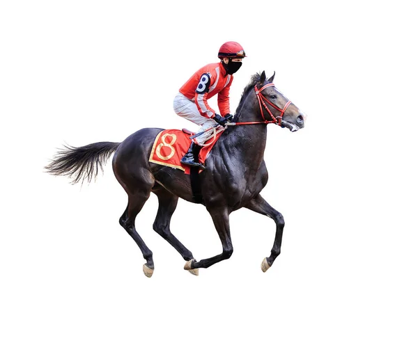 Jockey Horse Racing Horse Geïsoleerd Witte Achtergrond — Stockfoto