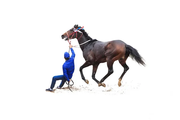 白い背景に隔離された騎手競馬馬 — ストック写真