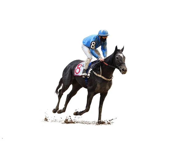 Jockey Horse Racing Horse Geïsoleerd Witte Achtergrond — Stockfoto