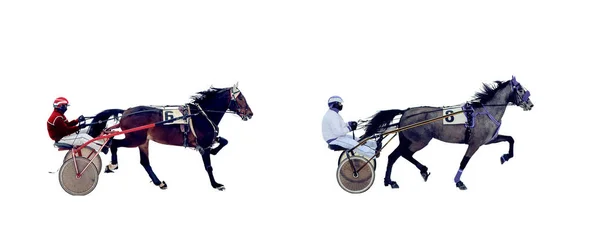 Jokey Yarış Atı Beyaz Arka Plan Izole — Stok fotoğraf