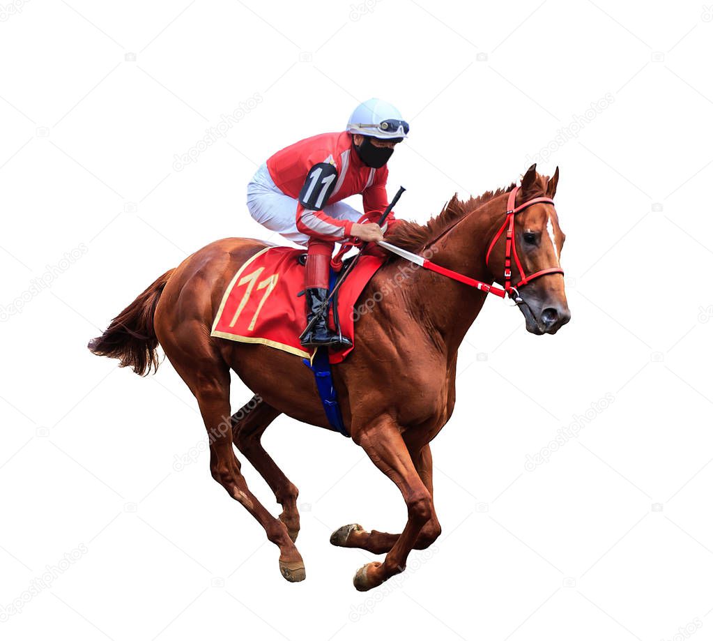 jockey horse racing horse isolated on white background