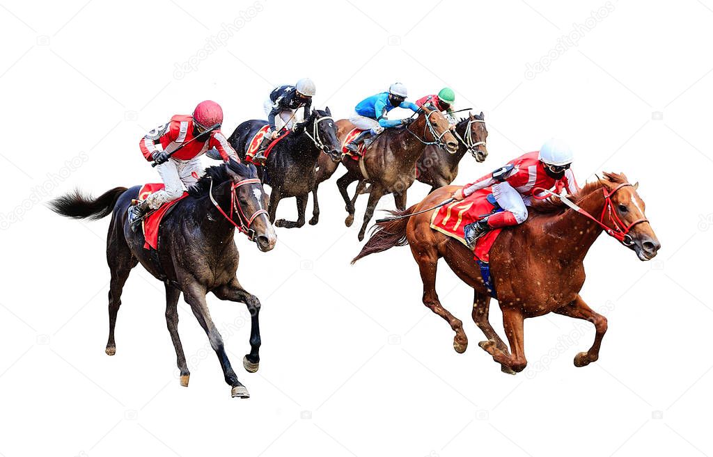 jockey horse racing horse isolated on white background