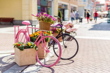 bisikletler avrupa sokaklarında bir yaz gününde tencerede çiçekler pembe, çiçekler boyalı