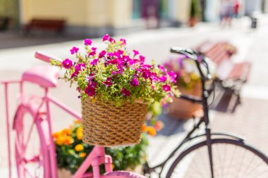 bisikletler avrupa sokaklarında bir yaz gününde tencerede çiçekler pembe, çiçekler boyalı