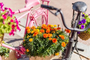 bisikletler avrupa sokaklarında bir yaz gününde tencerede çiçekler pembe, çiçekler boyalı