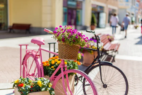 bisikletler avrupa sokaklarında bir yaz gününde tencerede çiçekler pembe, çiçekler boyalı