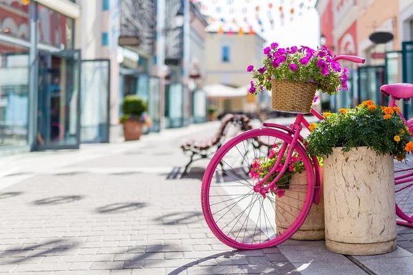 Fahrräder Sind Rosa Bemalt Blumen Töpfen Einem Sommertag Auf Den — Stockfoto