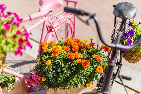 bisikletler avrupa sokaklarında bir yaz gününde tencerede çiçekler pembe, çiçekler boyalı