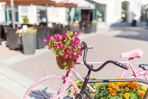 Fahrräder Sind Rosa Bemalt Blumen Töpfen Einem Sommertag Auf Den — Stockfoto