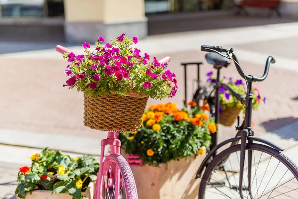 bisikletler avrupa sokaklarında bir yaz gününde tencerede çiçekler pembe, çiçekler boyalı
