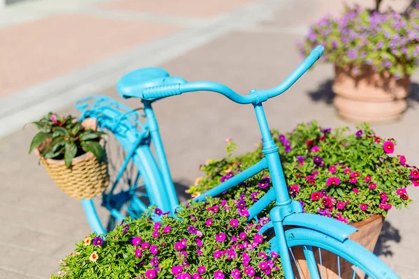 Blue Bike Sunny Street Europe Flowers Pots — Stock Photo, Image