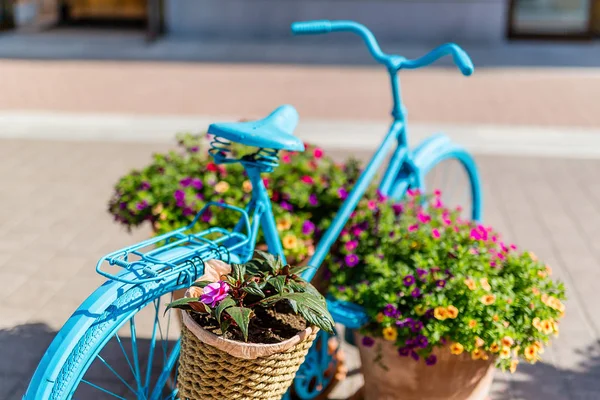 Mavi Bisiklet Avrupa Güneşli Bir Sokakta Tencere Çiçekler Var — Stok fotoğraf