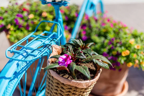 Blaues Fahrrad Steht Auf Einer Sonnigen Straße Europa Gibt Blumen — Stockfoto