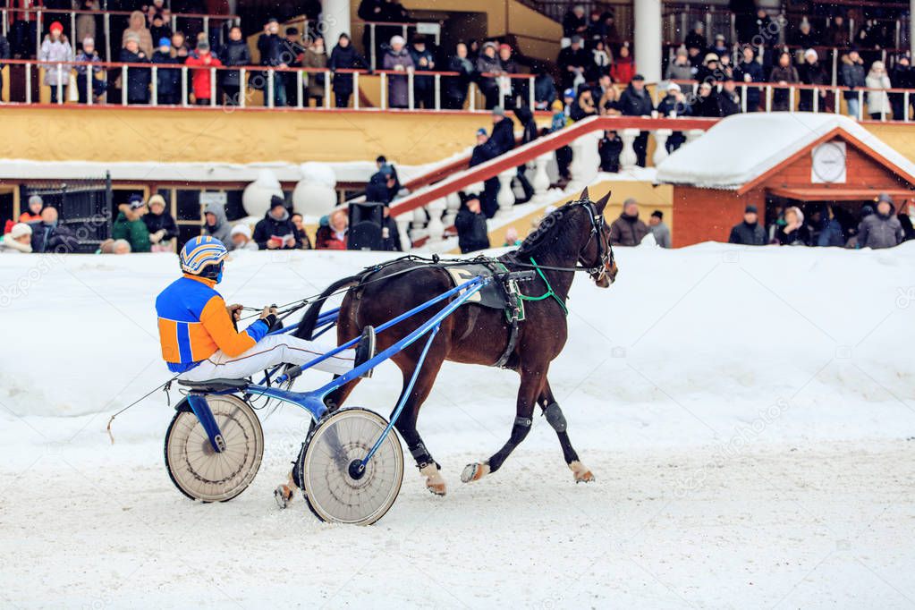 racing winter horses, races on the racetrack, jockey