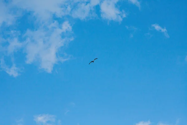 Stora Vita Moln Den Blå Himlen — Stockfoto