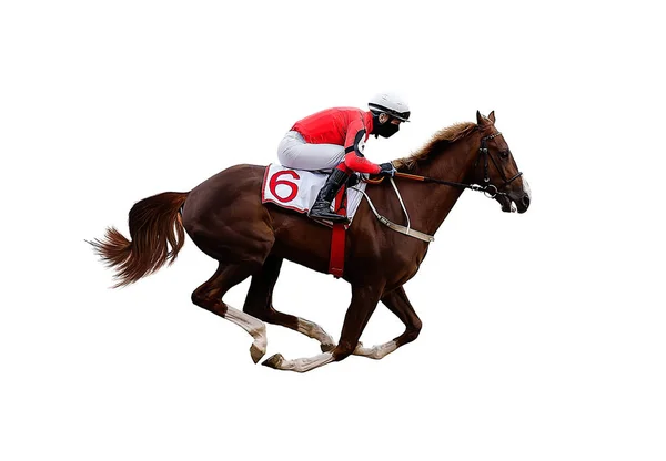 Cavalo Jockey Corridas Isolado Fundo Branco — Fotografia de Stock