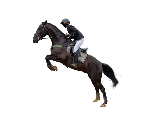 Pferderennjockey Isoliert Auf Weißem Hintergrund — Stockfoto