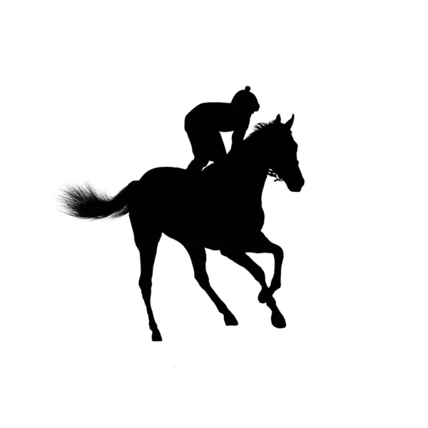 Paardenrennen Jockey Geïsoleerd Witte Achtergrond — Stockfoto