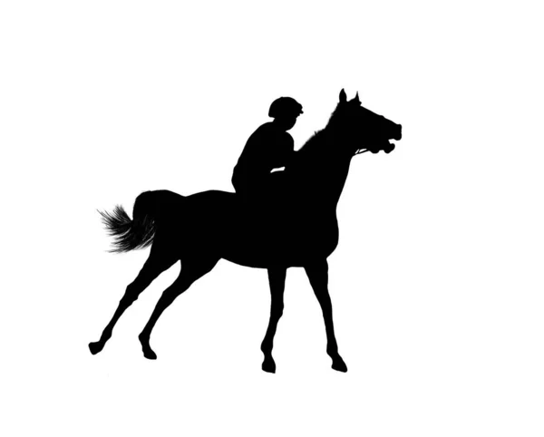 Horse Racing Jockey Isolated White Background — Stock Photo, Image